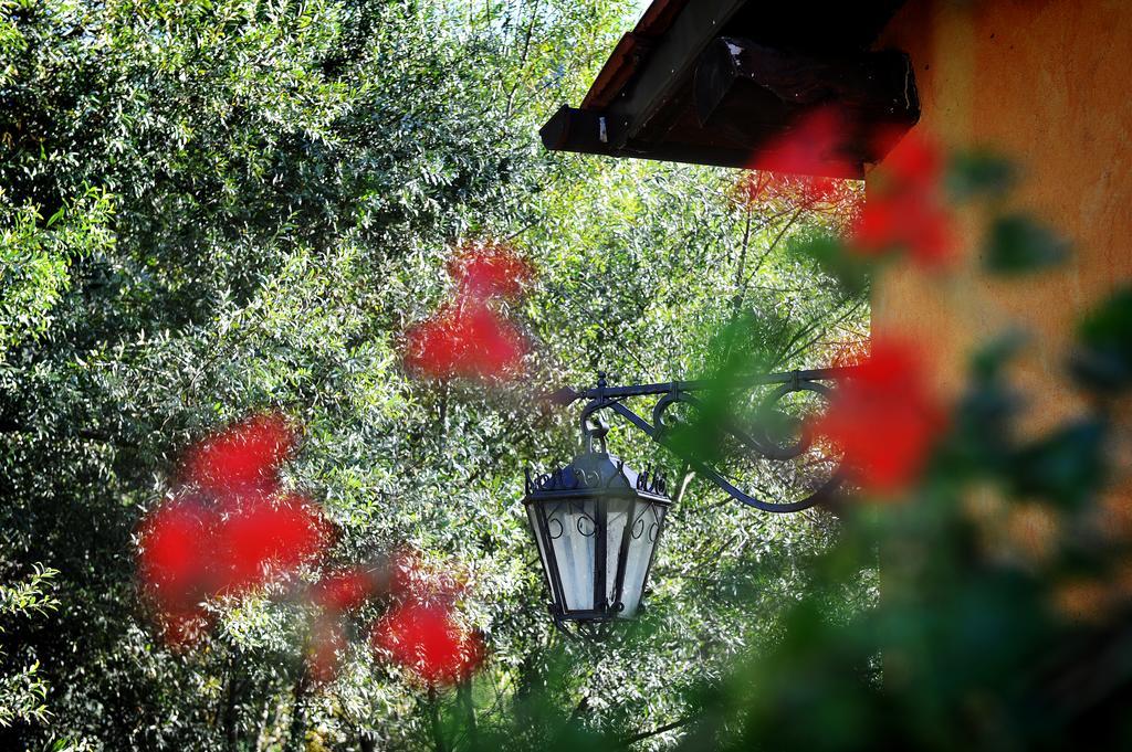 Vila L'Antica Mola Castel Madama Pokoj fotografie
