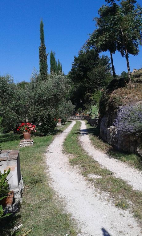 Vila L'Antica Mola Castel Madama Pokoj fotografie
