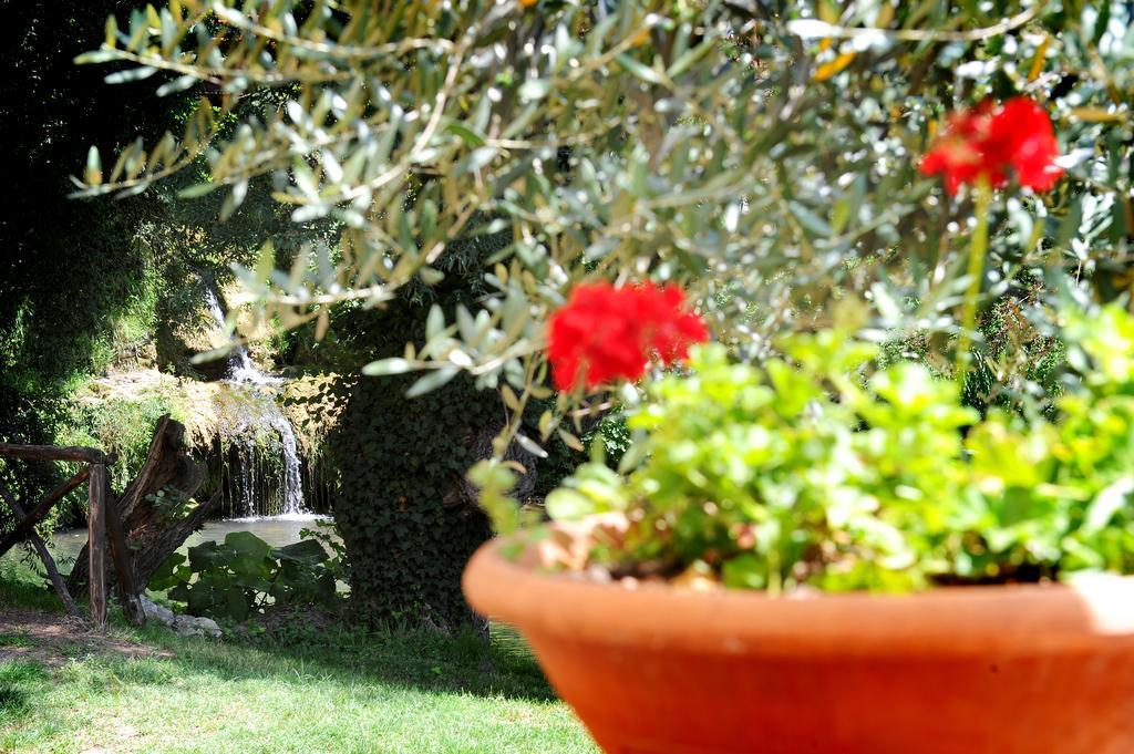 Vila L'Antica Mola Castel Madama Pokoj fotografie